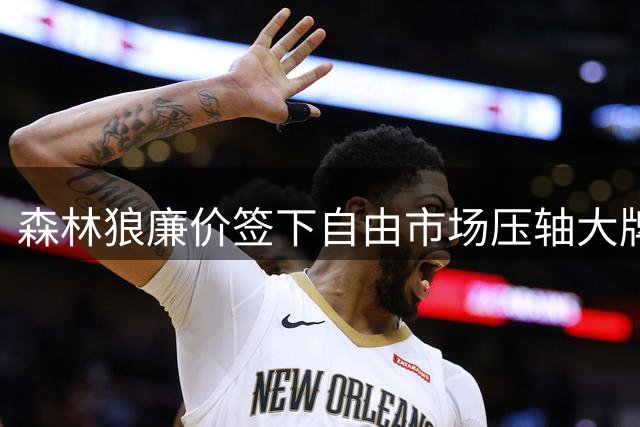 森林狼廉价签下自由市场压轴大牌