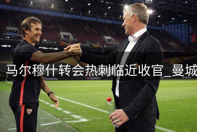 马尔穆什转会热刺临近收官 曼城放行体检程序